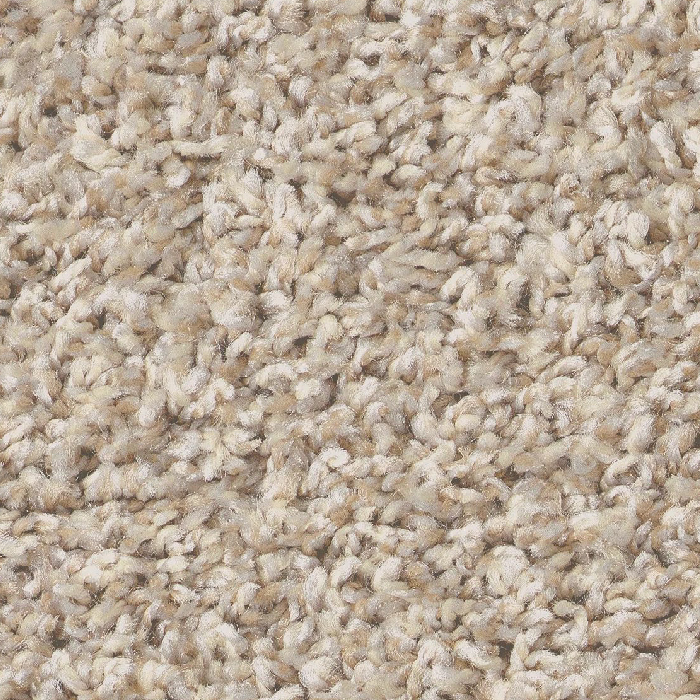 Creamy Silk (Cape Cod)