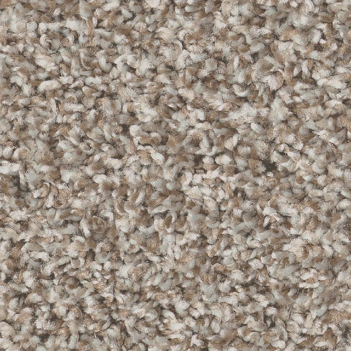 Daytona Sand (Cape Cod)