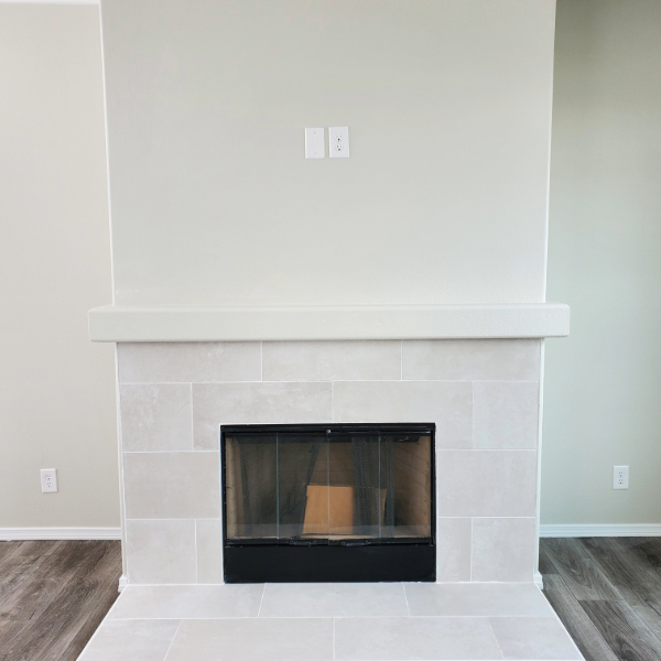 Wood or Gas Fireplace