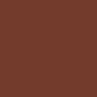 Roycroft Copper Red (Accent or Trim Only) – SW28390